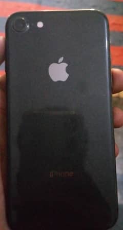 i phone 11 dual pta approved