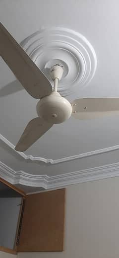 brand new sk fan available for sale in malir