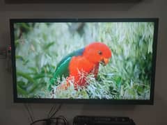 Ecostar Andriod Led 40 inch