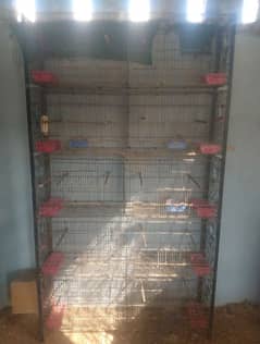 10 Portion Cage