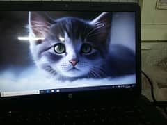 hp probook