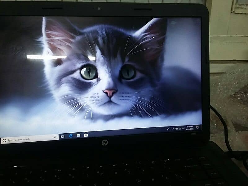 hp probook 0