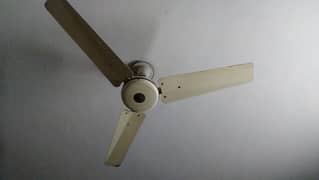 celling fan 100%copper