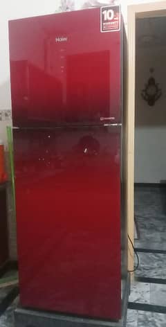 Haier Fridge (Medium Size)