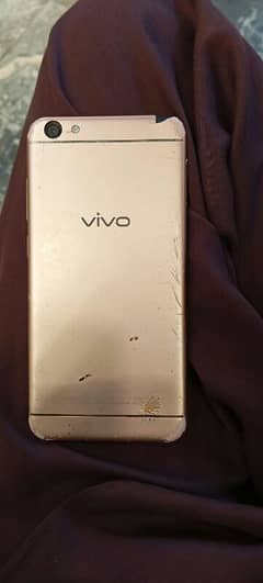 vivo