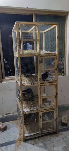 4 portion big wooden cage