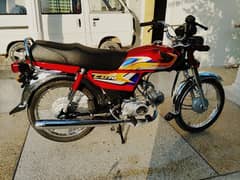 Honda 70 model 2024 shroom condition