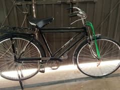 Almost New [Brand & Model] Bicycle - Excellent Condition