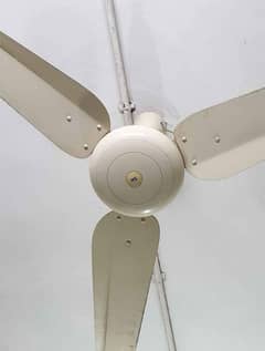 Sk Fan For Sell 220 Good Condition in Working