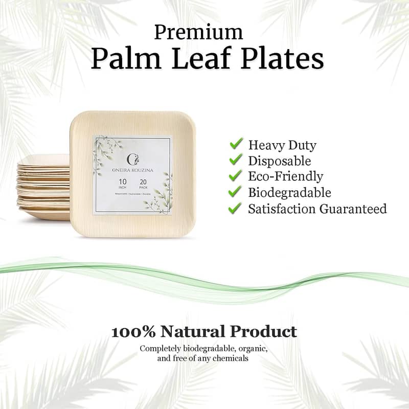 Premium Palm Leaf Plates 20 large, 10 inch square party pack (Amazon) 1