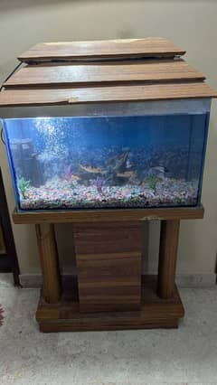 Aquarium for sell with 4 pairs of fish