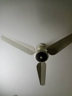 Ceiling Fan AC 220 VOLT