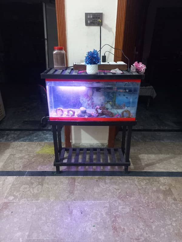 fish aquarium | fish box | glass aquarium 0