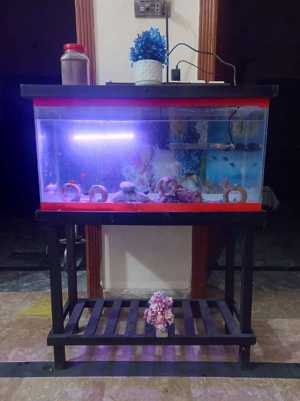 fish aquarium | fish box | glass aquarium 1