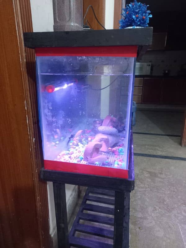 fish aquarium | fish box | glass aquarium 3