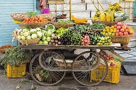 VEGITABLE CART SELLERS REQUIRED 0