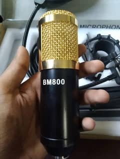 BM 800 condenser microphone