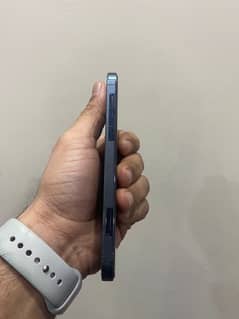 iphone 12 pro pta approved