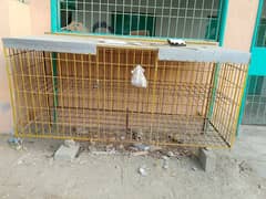 Hens cage