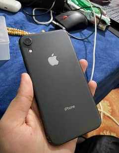 iPhone XR