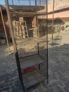 Australian parrot cage