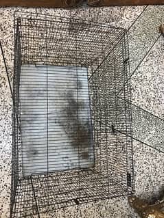 BIG SIZE CAGE FOR SALE