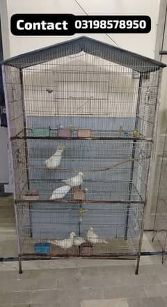 Different size Cages and budgies,khumra  available