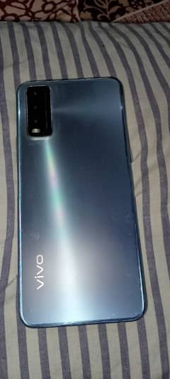 vivo