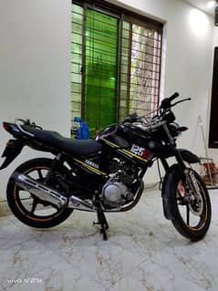 Yamaha YBR 125G 2021 model black color