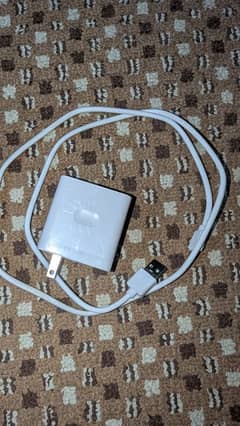 OnePlus 8W Charger