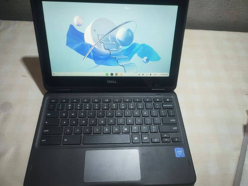 DELL LATITUDE 3100 0