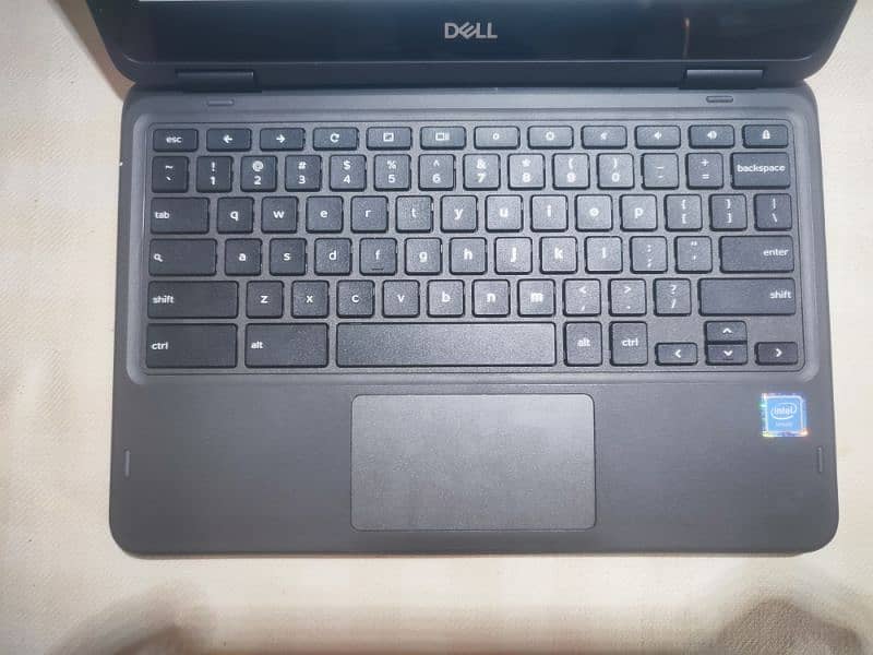 DELL LATITUDE 3100 3