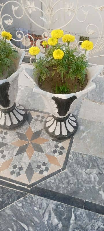 Beautiful Synthetic Enamel Coated Cement Gamla Pair 2