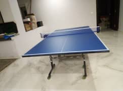 New Packed Table Tennis Table Double Paint