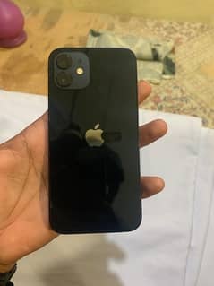 iPhone 12 for sale 82 battery held hai panel change condition in 10/9