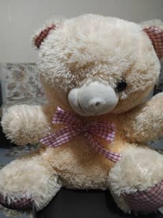 teddy