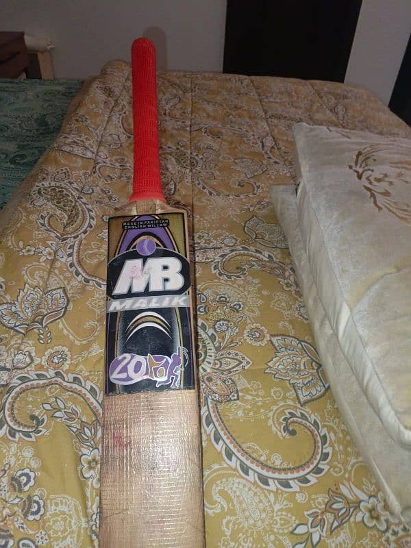 Harball bat(English willow) 0