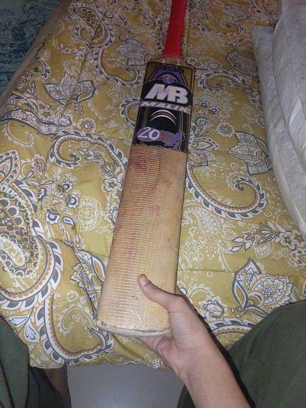 Harball bat(English willow) 3