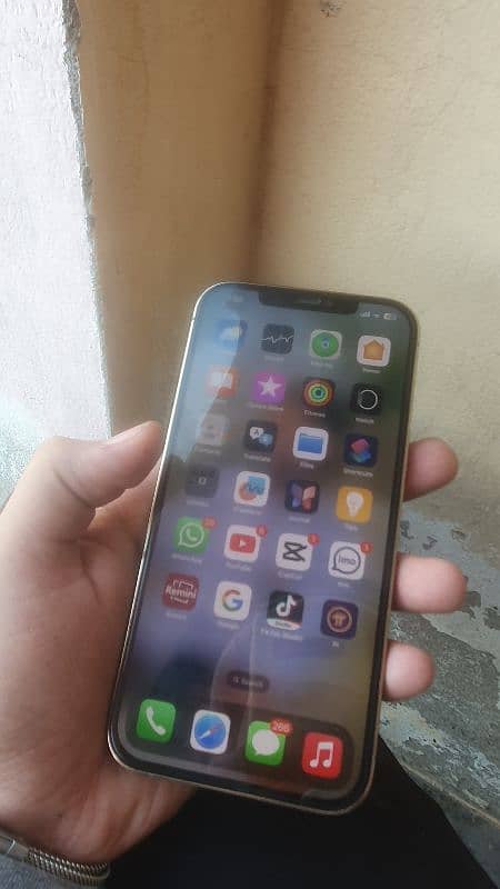 iphone 12 pro max 256gb 4