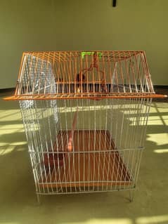 Birds budgies cage