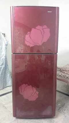 Orient Glass door refrigerator