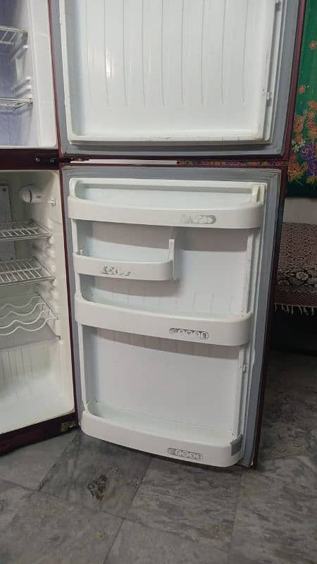 Orient Glass door refrigerator 6