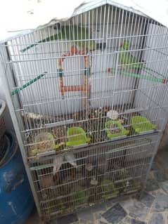 birds cage