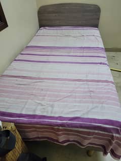 Habbit Single Bed