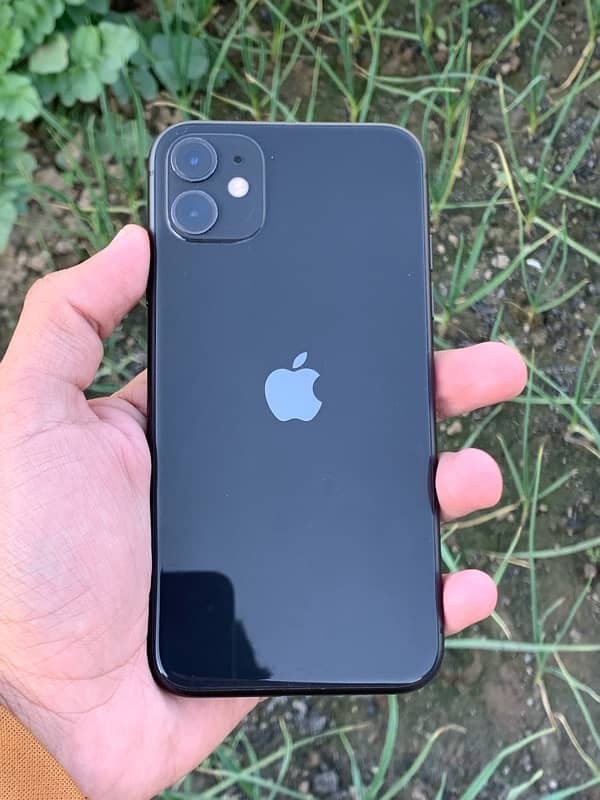 iPhone 11 jv 1