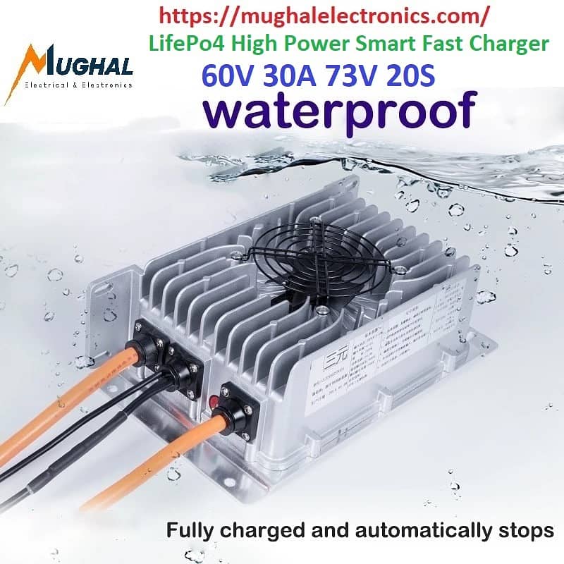 Electric LifePo4 Waterproof High Power Smart Fast Charger 60V 30 0