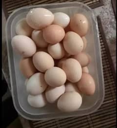 pure desi organic eggs