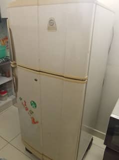 refrigerator