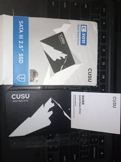 256GB SSD