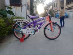 girls bicycle for age 8-10years